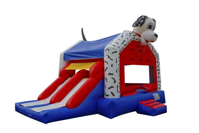 Dalmation